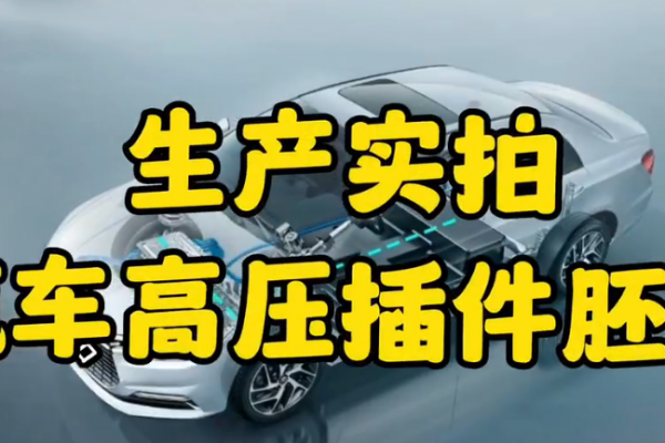 生产实拍~汽车高压插件胚体