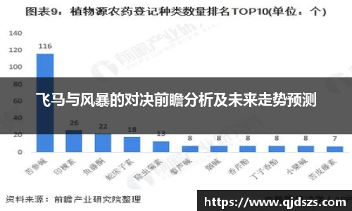 飞马与风暴的对决前瞻分析及未来走势预测